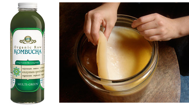 Kombucha Tea