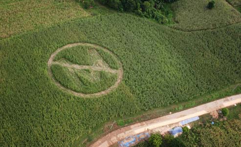 Local Farmers create an anti-Monsanto symbol on their crops