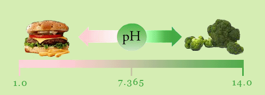 Food Ph Scale