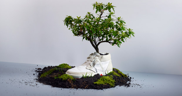 OAT Biodegradable Shoes